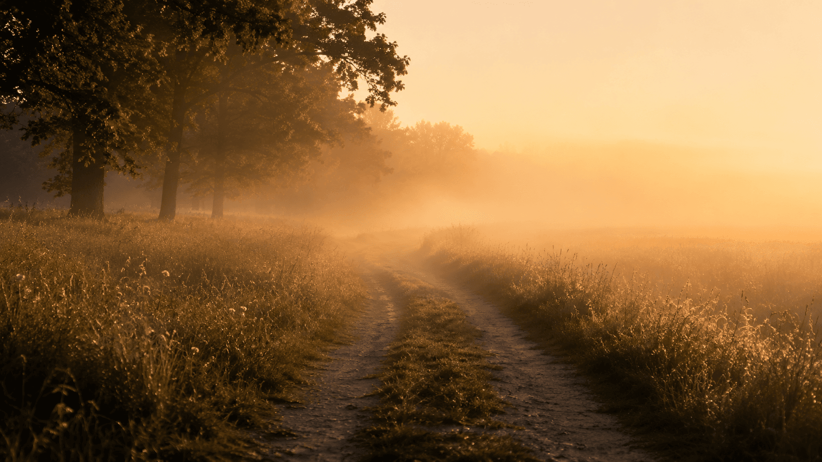 Pfad im Morgennebel — Aufbruch in einen neuen Tag